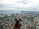 Mäuse auf dem Sears Tower in Chicago